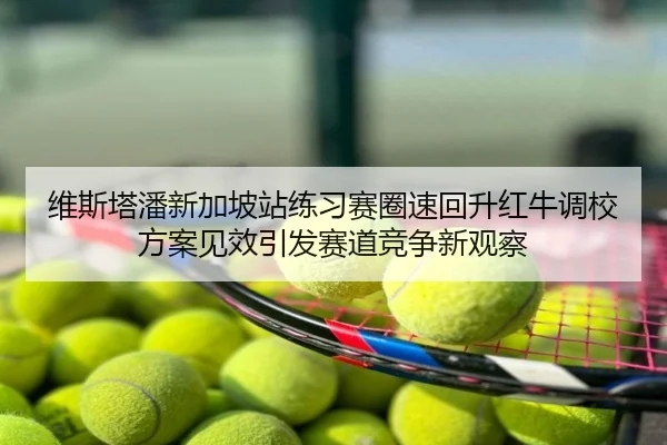 维斯塔潘新加坡站练习赛圈速回升红牛调校方案见效引发赛道竞争新观察